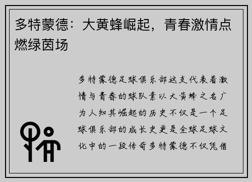 多特蒙德:大黄蜂崛起,青春激情点燃绿茵场 多特蒙德:大黄蜂崛起,青春激情点燃绿茵场